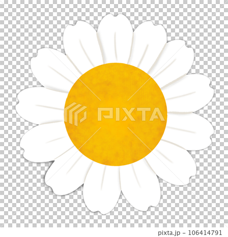 flower 106414791