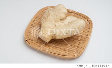 大和芋・ヤマトイモ 大和芋・ヤマトイモ 106414947