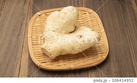 大和芋・ヤマトイモ 106414952