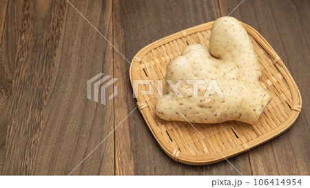 大和芋・ヤマトイモ 106414954