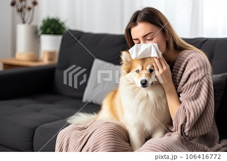 Pet Allergy, Allergic Woman with White Fluffy Dog, Sneezing Girl, Allergy Rhinitis, Respiratory Sickness 106416772