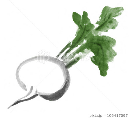カラーにした水墨画 カブ カラーにした水墨画 カブ 106417097