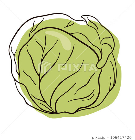 Cabbage in line art style. Fresh and healthy food. Vegetarian nutrition. Organic ingredient for salad. Flat vector icon. 106417420