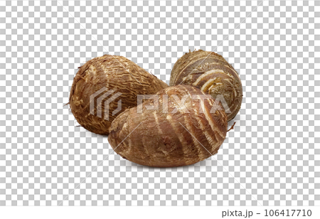 taro illustration realistic 106417710