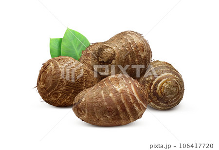 里芋 イラスト リアル 106417720