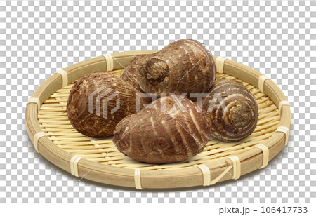 里芋 イラスト リアル 106417733