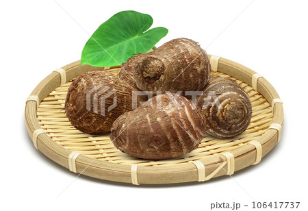 里芋 イラスト リアル 里芋 イラスト リアル 106417737