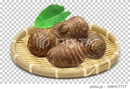 taro illustration realistic 106417737