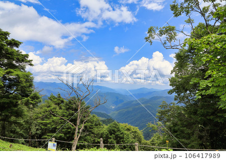 夏の大菩薩嶺の風景 ( 大菩薩峠 / 2023年8月 ) 106417989