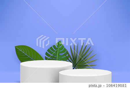 Bright illuminated blue interior with two white podiums and leaves. Eco friendly product showcase template. 3d vector background Bright illuminated blue interior with two white podiums and leaves. Eco friendly product showcase template. 3d vector background 106419081