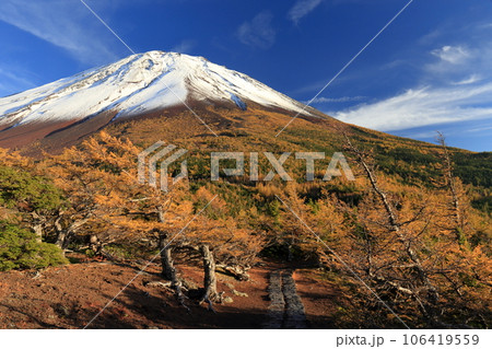 奥庭と秋の富士山 奥庭と秋の富士山 106419559