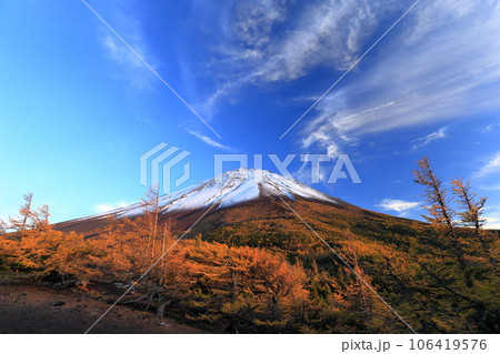 カラマツと富士山 106419576