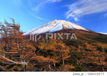 色とりどりの紅葉の富士山 106419577