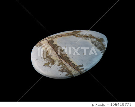 デンドリティック・ジャスパー 風景を宿す石 106419773