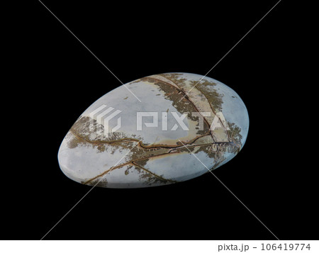 デンドリティック・ジャスパー 風景を宿す石 106419774