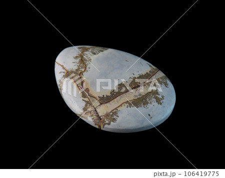 デンドリティック・ジャスパー 風景を宿す石 106419775