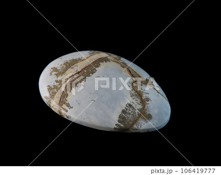 デンドリティック・ジャスパー 風景を宿す石 106419777