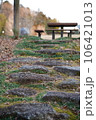 苔むした階段 106421013