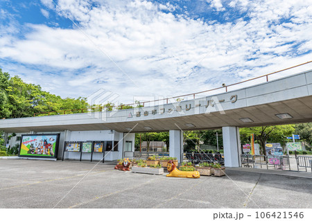 富山県富山市　様々な動物が飼育されている動物園　富山市ファミリーパーク 106421546