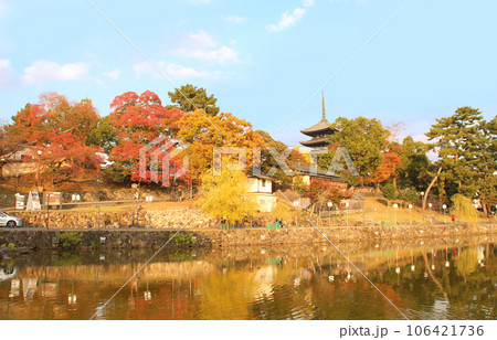 紅葉の猿沢池 紅葉の猿沢池 106421736