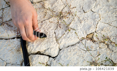 A man's hand holds a snake by the head in the desert, close-up A man's hand holds a snake by the head in the desert, close-up 106421839