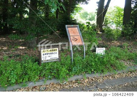 赤山陣屋跡(赤山城跡)の本丸跡【埼玉県川口市】 赤山陣屋跡(赤山城跡)の本丸跡【埼玉県川口市】 106422409