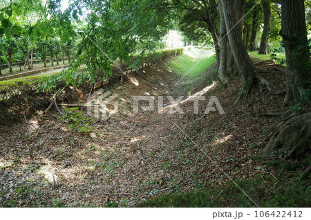 赤山陣屋跡(赤山城跡)の本丸周囲の空堀【埼玉県川口市】 赤山陣屋跡(赤山城跡)の本丸周囲の空堀【埼玉県川口市】 106422412
