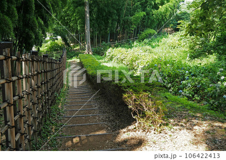 赤山陣屋跡（赤山城跡）の本丸周囲の空堀【埼玉県川口市】 106422413