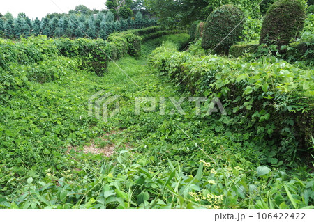 赤山陣屋跡(赤山城跡)の本丸周囲の空堀【埼玉県川口市】 赤山陣屋跡(赤山城跡)の本丸周囲の空堀【埼玉県川口市】 106422422