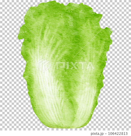 watercolor chinese cabbage kimchi clipart 106422813