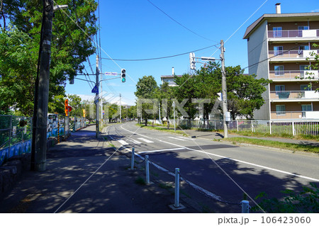農試公園1号線(農試公園のトンカチ広場あたり 農試公園1号線(農試公園のトンカチ広場あたり 106423060