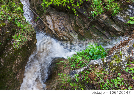 Water flows fast between wet stones. Honey waterfalls Water flows fast between wet stones. Honey waterfalls 106426547
