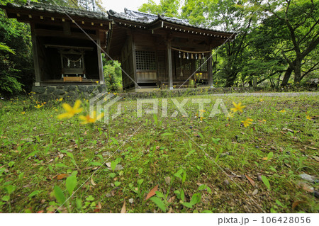 愛媛県松野町 大本神社の風景 愛媛県松野町 大本神社の風景 106428056