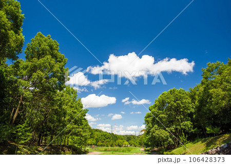 青空と緑地【四日市南部丘陵公園・南ゾーン】 青空と緑地【四日市南部丘陵公園・南ゾーン】 106428373