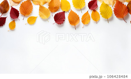 Autumn orange leaves isolated on white background Autumn orange leaves isolated on white background 106428484