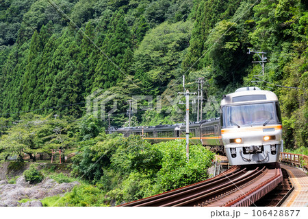 【高山本線】飛水峡ロックガーデンを通過する特急ひだ 【高山本線】飛水峡ロックガーデンを通過する特急ひだ 106428877