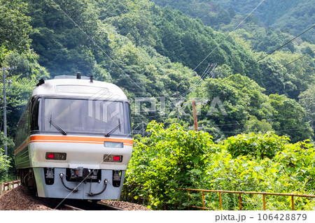 【高山本線】飛水峡ロックガーデンを通過する特急ひだ 【高山本線】飛水峡ロックガーデンを通過する特急ひだ 106428879