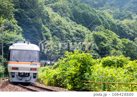 【高山本線】飛水峡ロックガーデンを通過する特急ひだ 【高山本線】飛水峡ロックガーデンを通過する特急ひだ 106428880