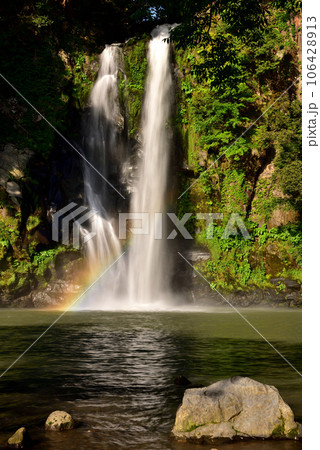 新緑の八反滝と虹 新緑の八反滝と虹 106428913