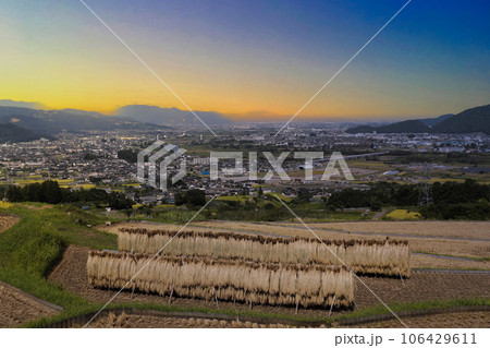 棚田から眺める夕暮れの田園 棚田から眺める夕暮れの田園 106429611