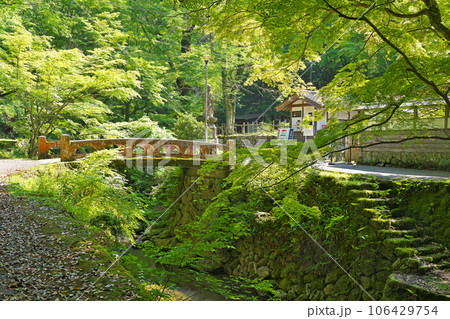 【鰐淵寺】 島根県出雲市別所町 【鰐淵寺】 島根県出雲市別所町 106429754