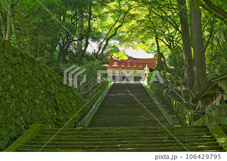 【鰐淵寺】 島根県出雲市別所町 106429795