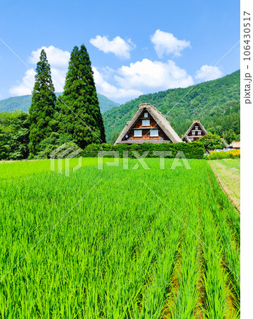 白川郷(夏) 白川郷(夏) 106430517