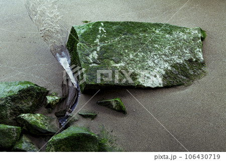 rock with moss in Hudson River river, Background photo 106430719