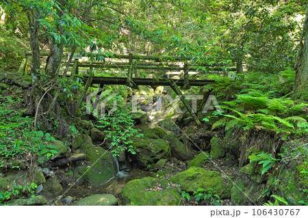 【鰐淵寺 (浮浪の滝と蔵王堂までの参道)】 島根県出雲市別所町 【鰐淵寺 (浮浪の滝と蔵王堂までの参道)】 島根県出雲市別所町 106430767