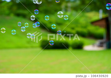 芝生の広場でシャボン玉遊び 106430920