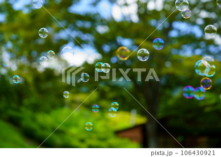 公園の樹木背景シャボン玉 106430921