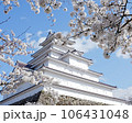 会津鶴ヶ城 106431048