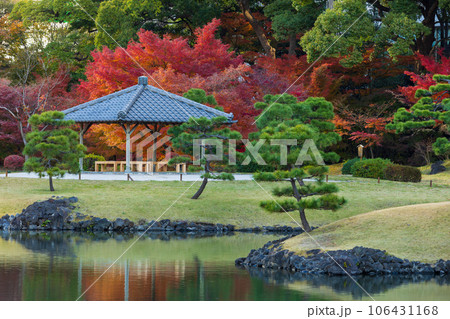 晩秋の東京港区　紅葉の旧芝離宮恩賜庭園 106431168