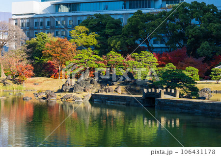 晩秋の東京港区　紅葉の旧芝離宮恩賜庭園 106431178
